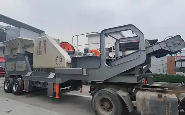 PLANT (2)e24